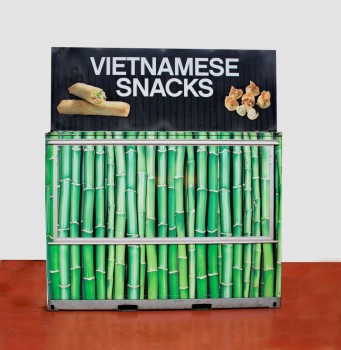 Vietnamees